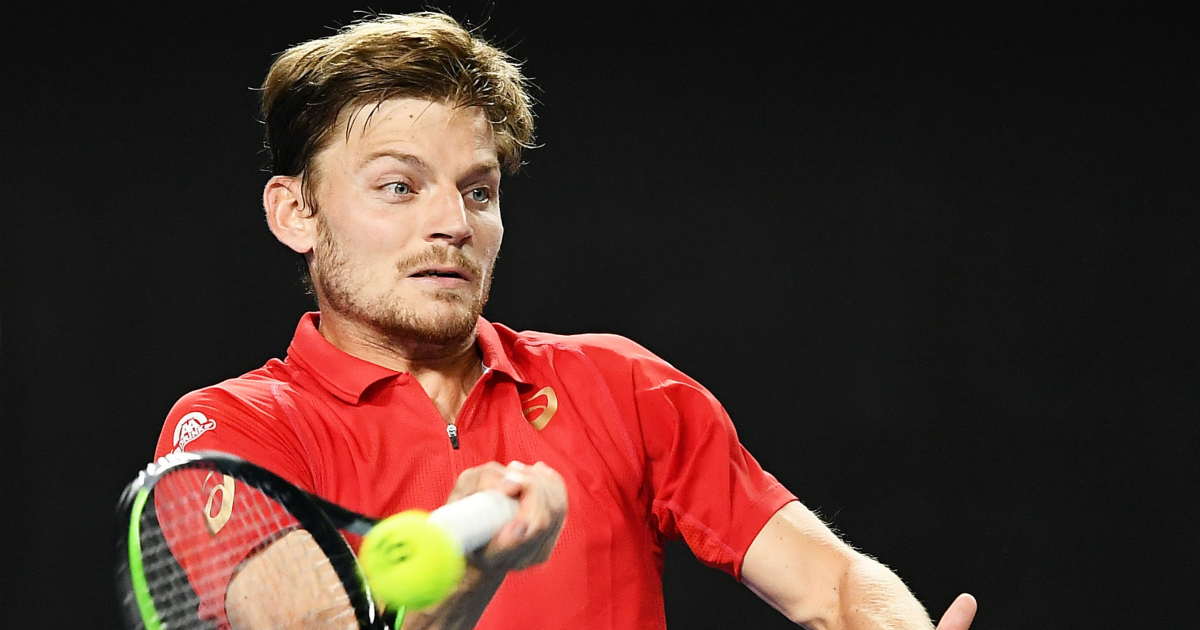 David Goffin