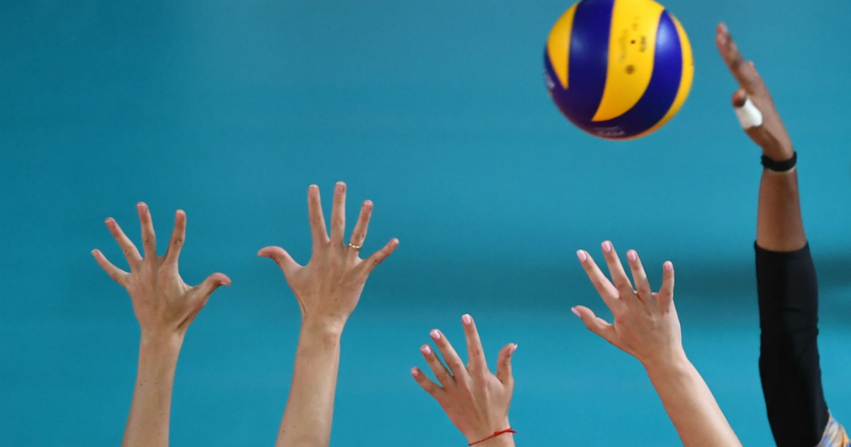 Pallavolo