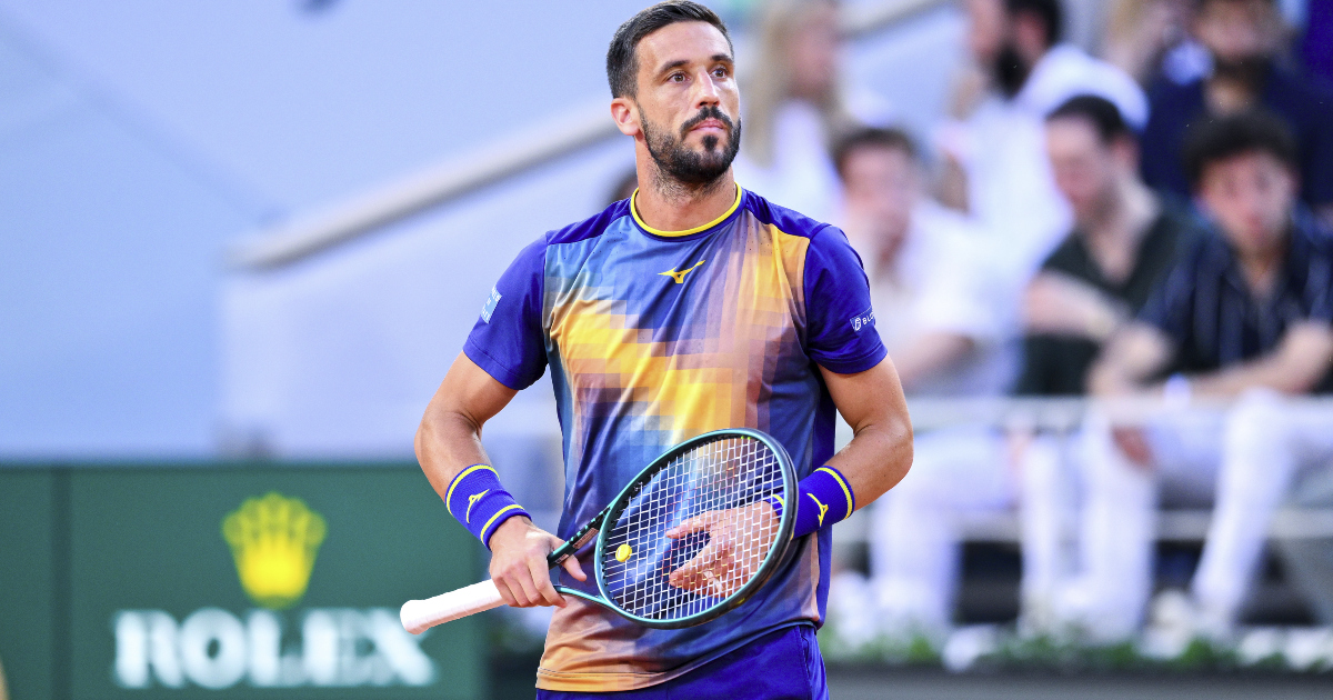 Damir Dzumhur