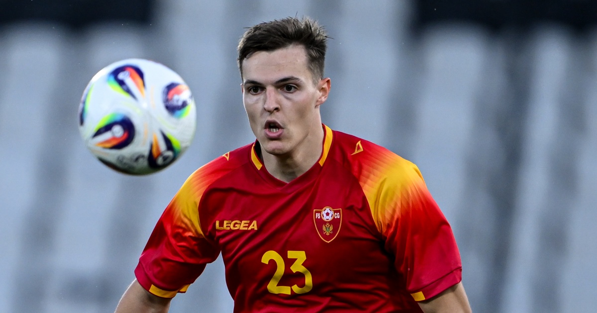 Andrej Kostic, nuovo acquisto del Milan